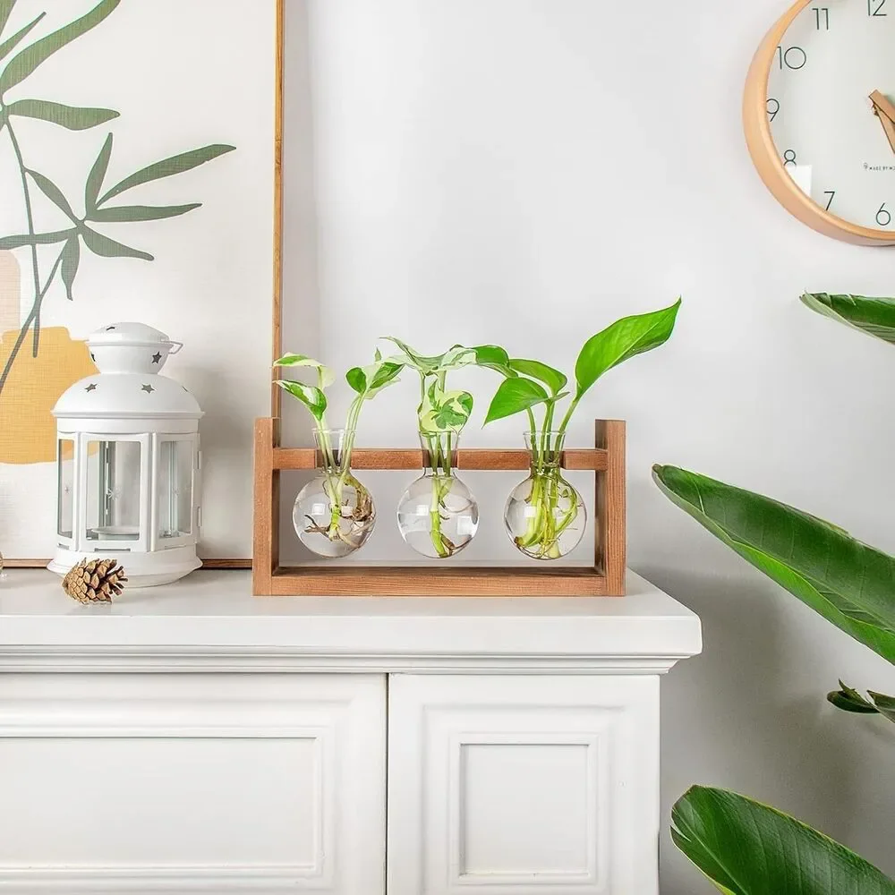 Propagation Station, Plants Terrarium, Plants Lover Gifts for Women,Plant Cuttin